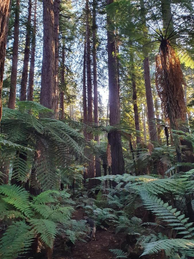 Folia Domus Nz, Redwoods, Mbt Villa Rotorua Exterior foto